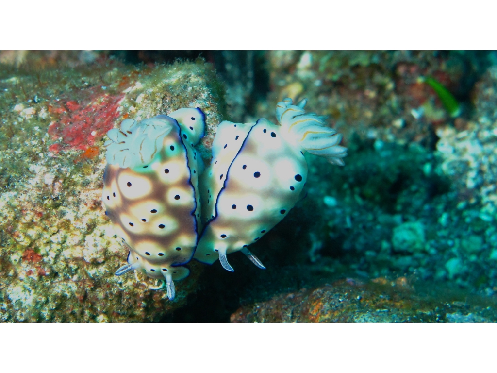 IMG_6253 (1) IMG_6253 (1)